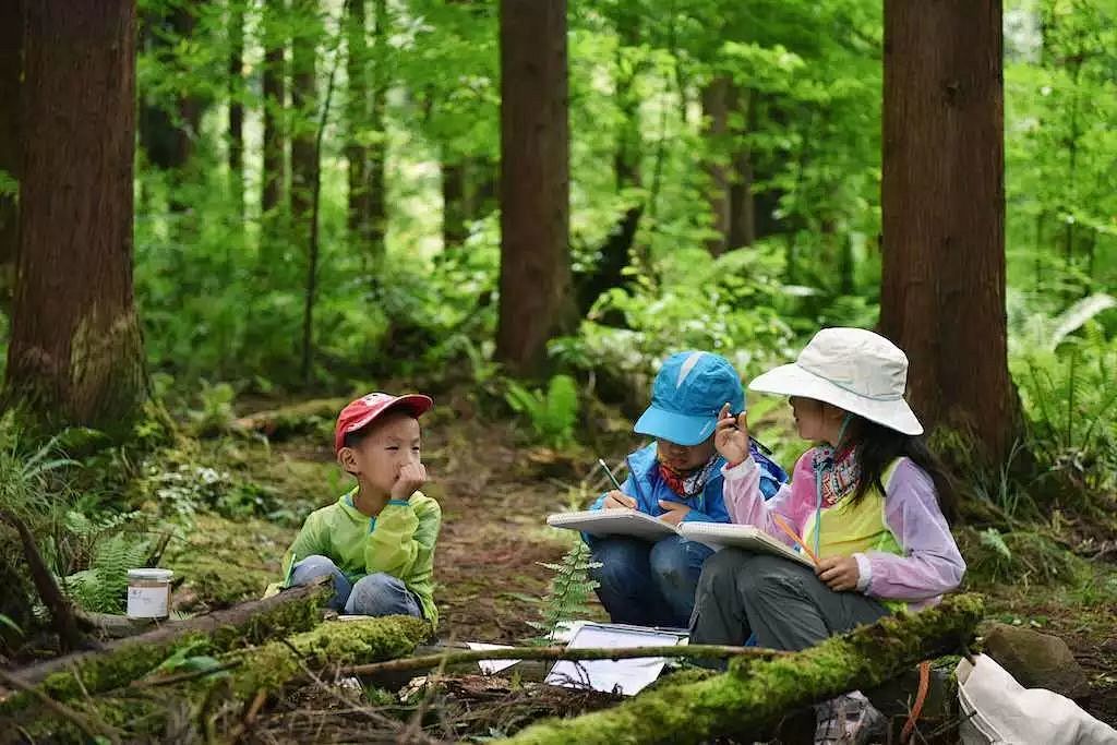 【日本旅游】日本考察投资游玩公司博瑞